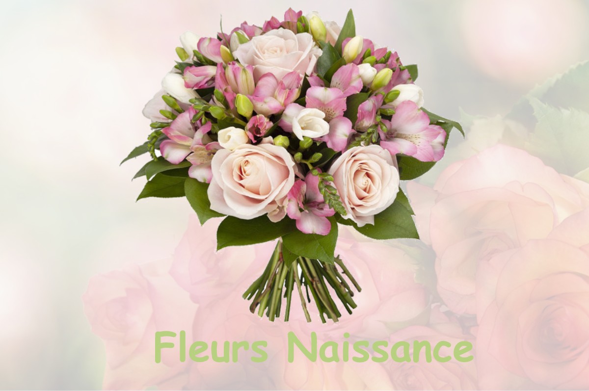 fleurs naissance BRAX