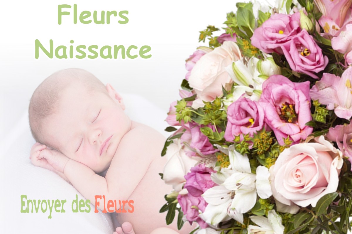 lIVRAISON FLEURS NAISSANCE à BRAX